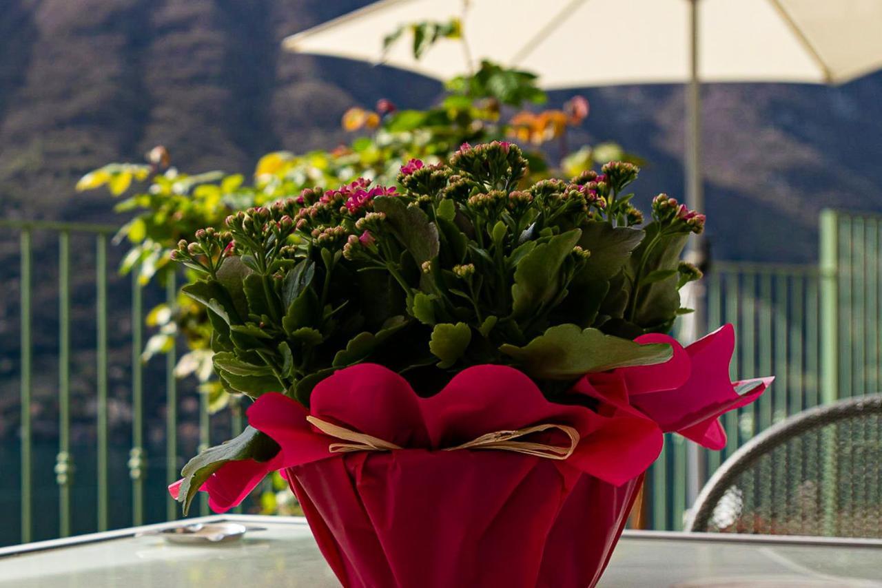 Romantic Home - Lake Como Nesso Buitenkant foto